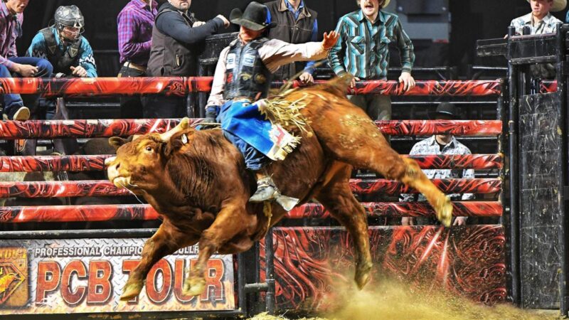 Professional Championship Bull Riders Stampede Into Wheeling